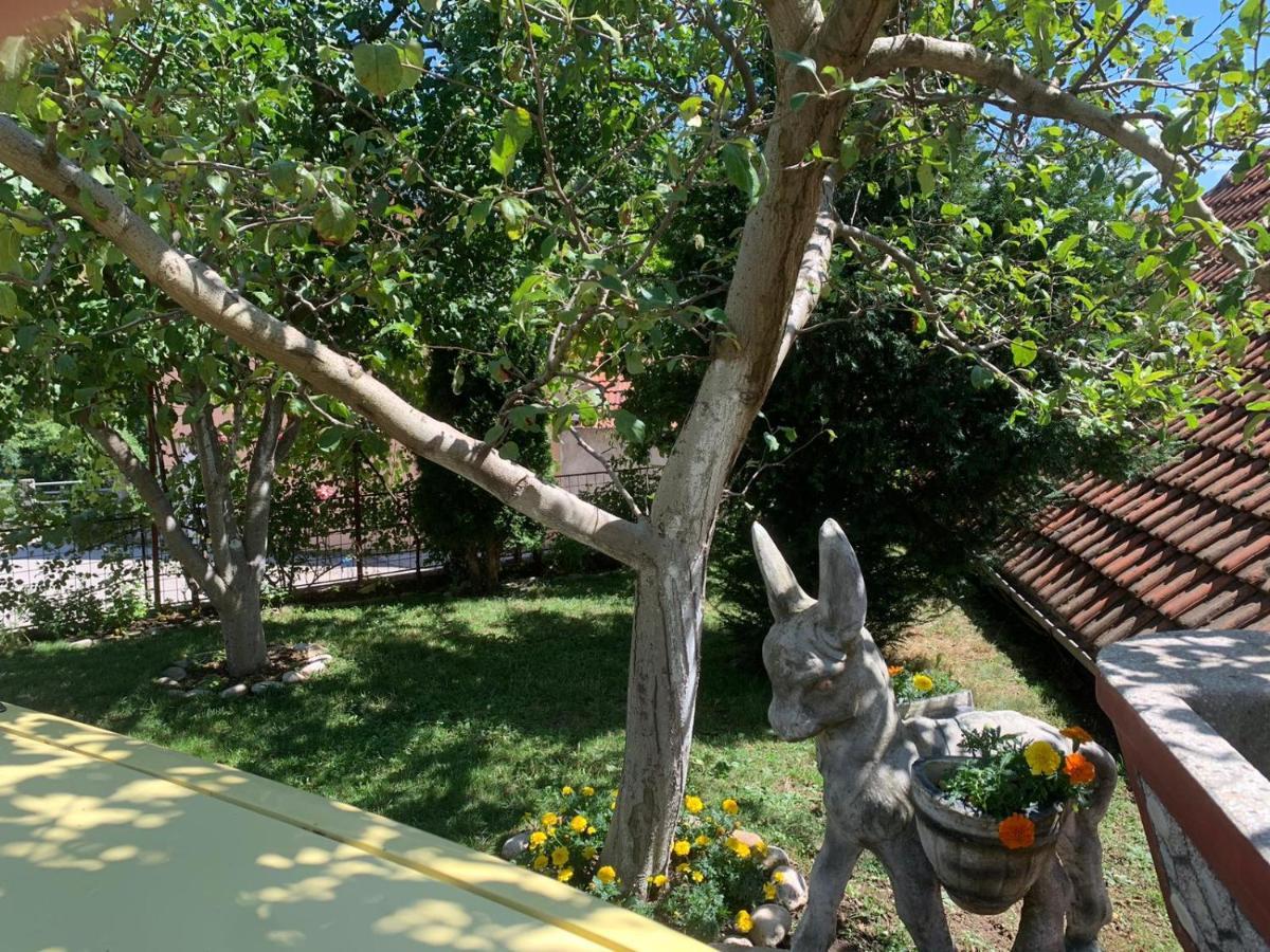 Appartement Nature Gacko